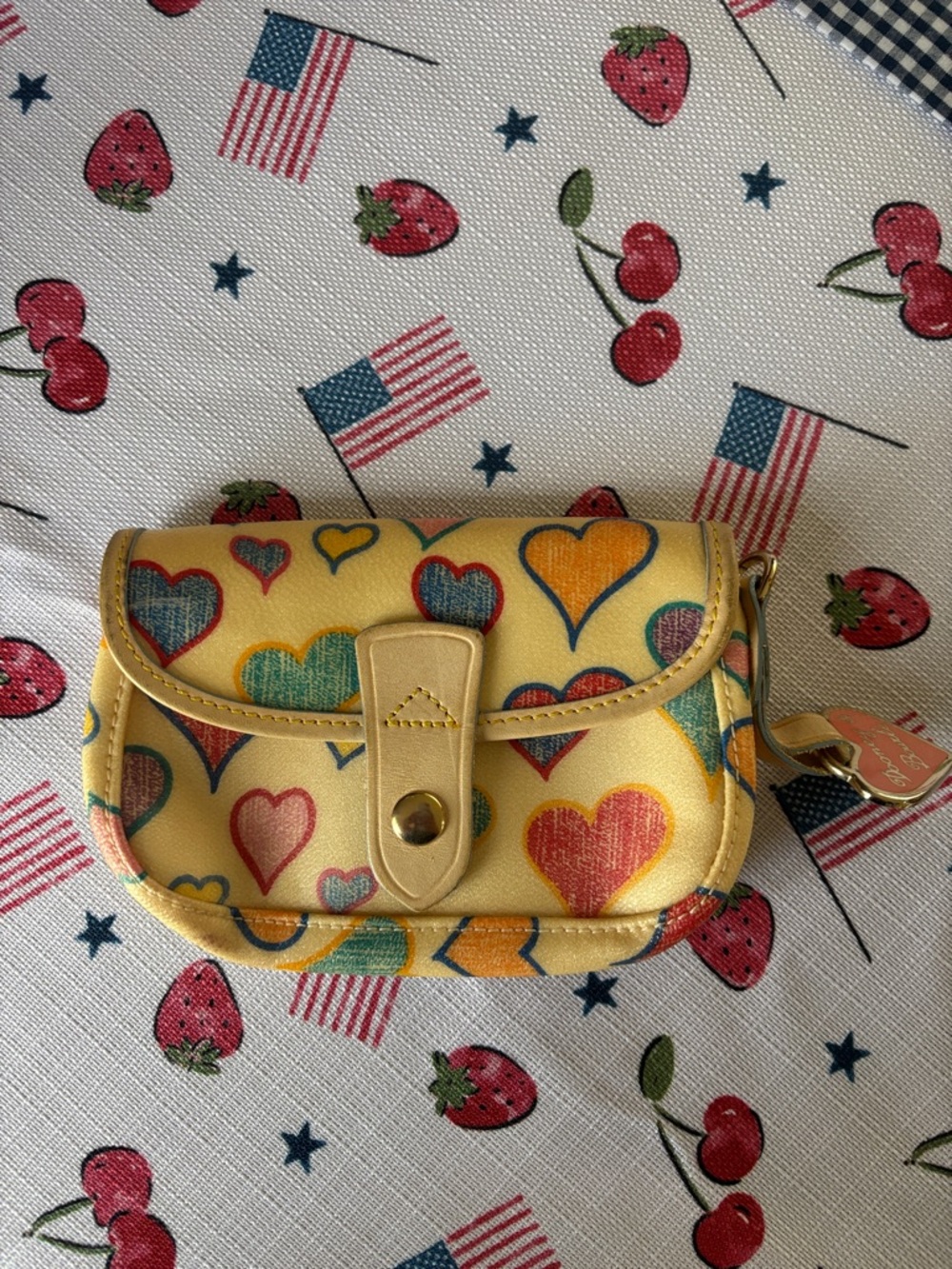 Dooney & Bourke Pouch